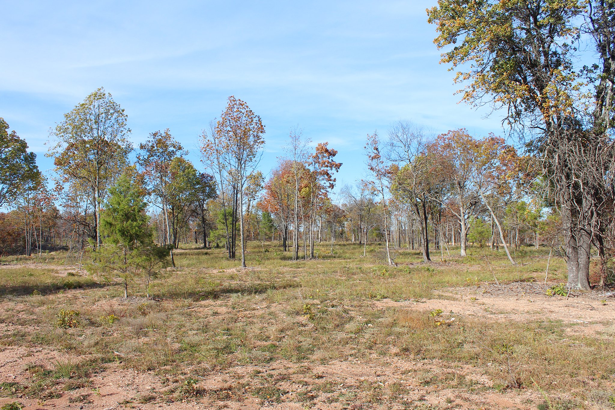 Tract 11 - Cleared Land - OKLAHOMA LAND & REAL ESTATE AUCTION, 438 +/- Acres offered in 13 Tracts